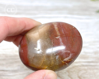 Petrified Wood Chunky Palm Stone #2