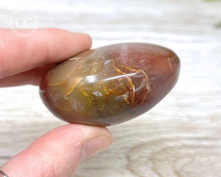 Petrified Wood Chunky Palm Stone #2