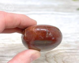 Petrified Wood Chunky Palm Stone #2