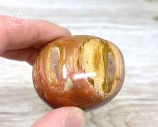 Petrified Wood Chunky Palm Stone #1