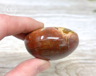 Petrified Wood Chunky Palm Stone #1