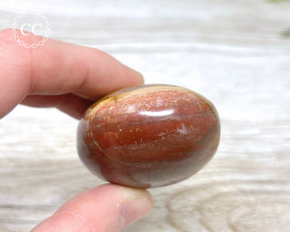 Petrified Wood Chunky Palm Stone #1