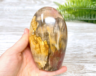 Petrified Wood Freeform #4