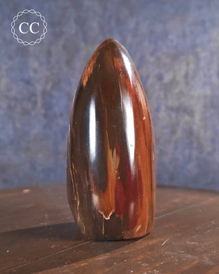 Petrified Wood Freeform #5