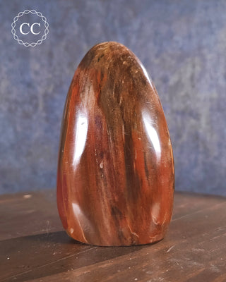 Petrified Wood Freeform #5