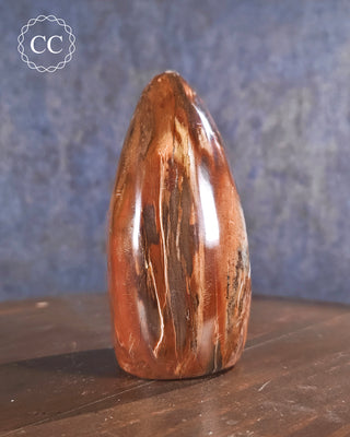 Petrified Wood Freeform #5