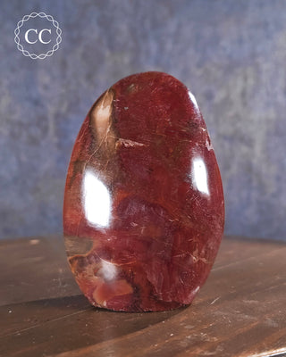 Petrified Wood Freeform #3