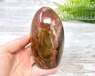 DISCOUNTED Petrified Wood Freeform #2