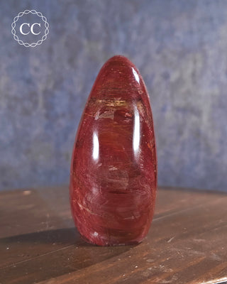 Petrified Wood Freeform #3