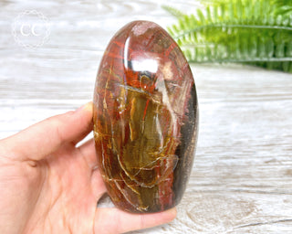 DISCOUNTED Petrified Wood Freeform #2