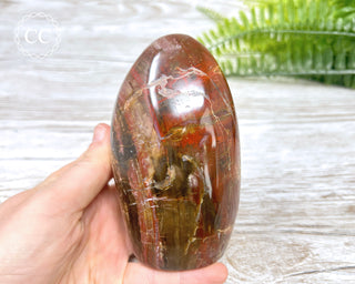 DISCOUNTED Petrified Wood Freeform #2