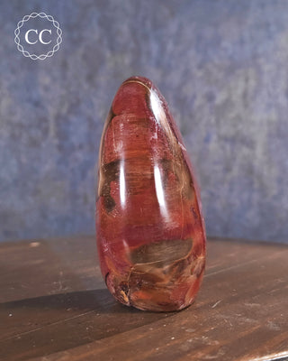 Petrified Wood Freeform #3