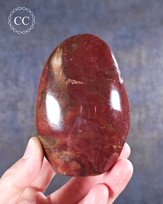 A hand holding a Petrified Wood Freeform from Madagascar