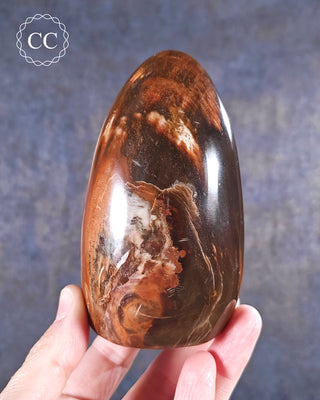 A hand holding a Petrified Wood Freeform from Madagascar