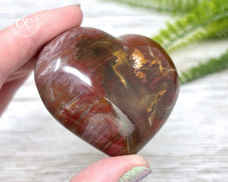 Petrified Wood Heart #2