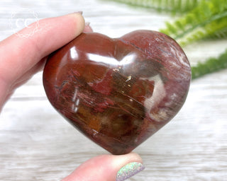 Petrified Wood Heart #2