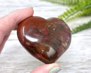 Petrified Wood Heart #2