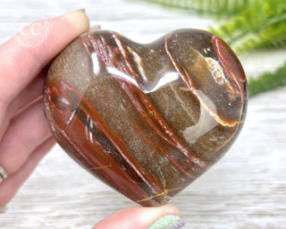 Petrified Wood Heart #3