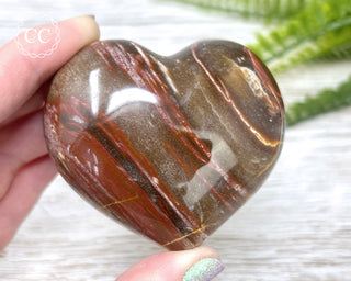 Petrified Wood Heart #3