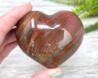 Petrified Wood Heart #3