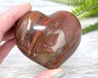 Petrified Wood Heart #3