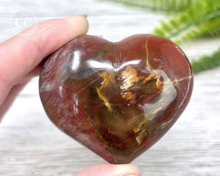 Petrified Wood Heart #2