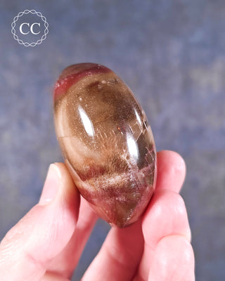 Petrified Wood Chunky Palm Stone #2