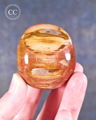 A hand holding a Petrified Wood Chunky Palmstone