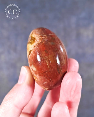 Petrified Wood Chunky Palm Stone #1