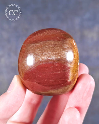 Petrified Wood Chunky Palm Stone #1