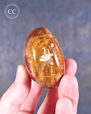 Petrified Wood Chunky Palm Stone #1