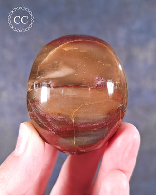 A hand holding a Petrified Wood Palmstone