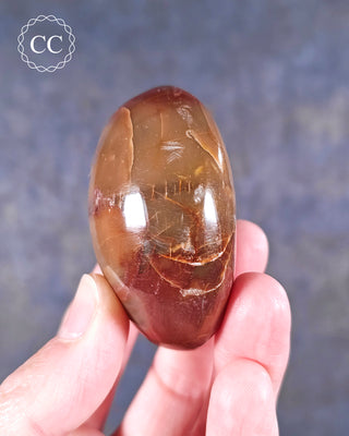 Petrified Wood Chunky Palm Stone #2