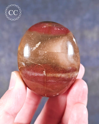 Petrified Wood Chunky Palm Stone #2