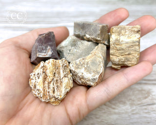 Petrified Wood Rough