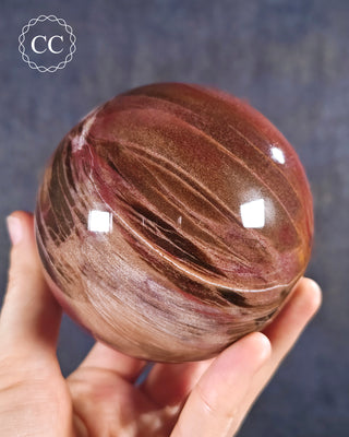 Large Petrified Wood Sphere #3