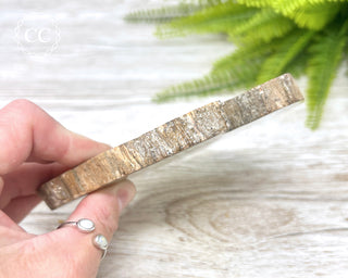 Petrified Wood Slice #4