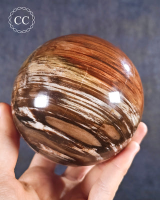 Large Petrified Wood Sphere #1