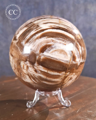 Large Petrified Wood Sphere #1
