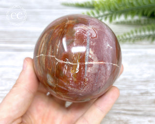 Petrified Wood Sphere #1