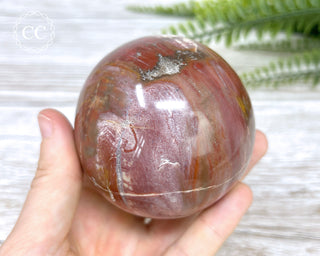 Petrified Wood Sphere #1