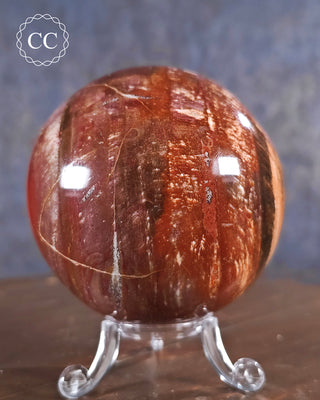 Petrified Wood Sphere #2