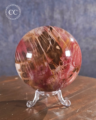 Large Petrified Wood Sphere #3