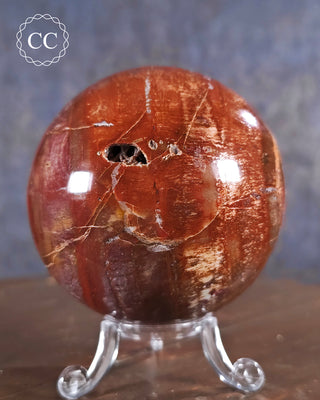 Petrified Wood Sphere #2