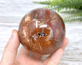 Petrified Wood Sphere #2