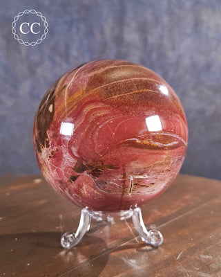 Large Petrified Wood Sphere #3