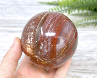 Petrified Wood Sphere #2