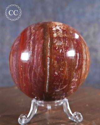 Petrified Wood Sphere #2