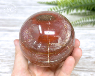 Petrified Wood Sphere #2