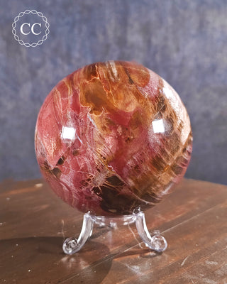 Large Petrified Wood Sphere #3